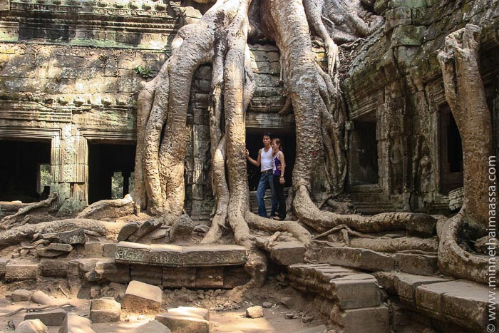 viidakkotemppeli Ta Phrom Angkor