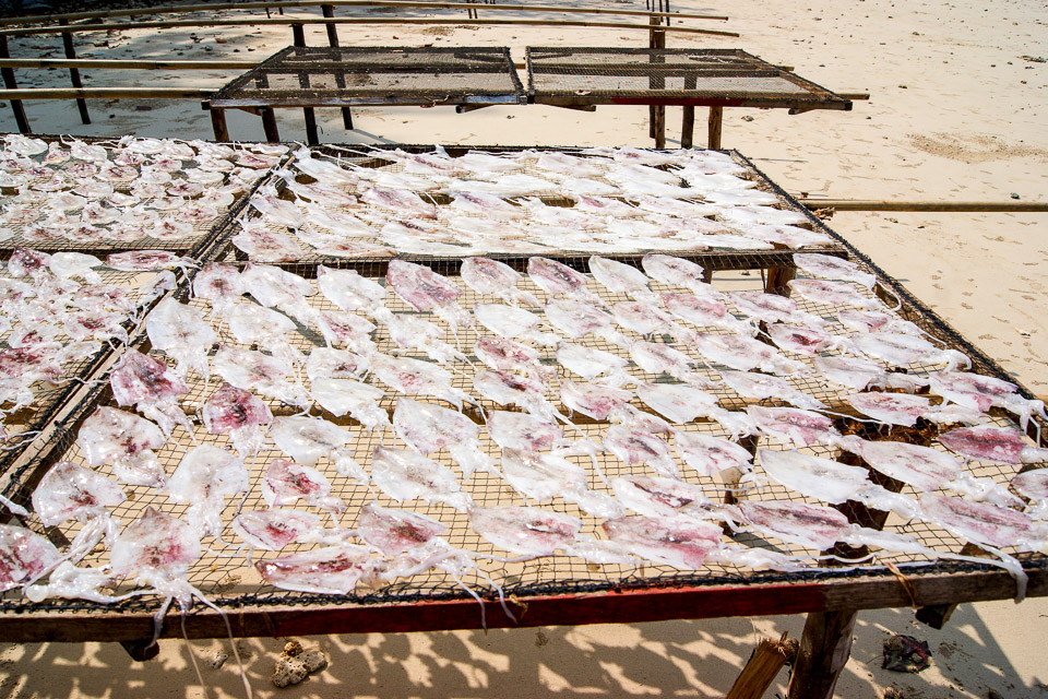 Seepioita kuivumassa kalastajakylässä. Kuva: Saritta Duhamel